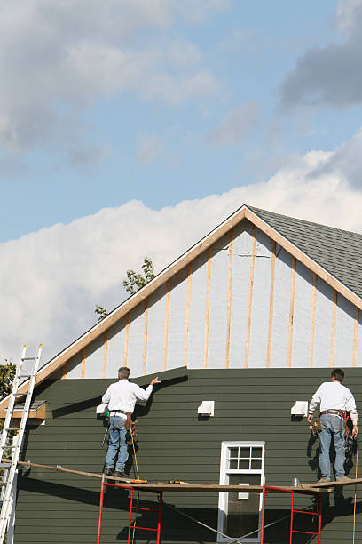 Best Custom Siding Design  in Long Beach, MD